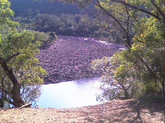 La balade  à Dumbéa Rivière