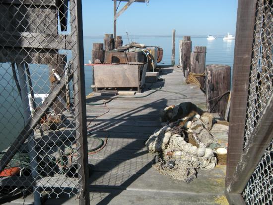 China Camp ParK