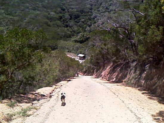 La descente
