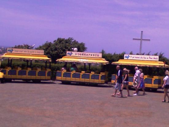Le petit train