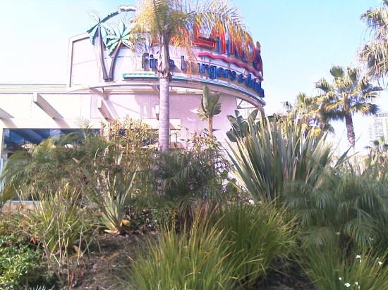 Long Beach
