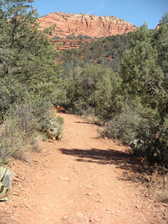 Oak Trail