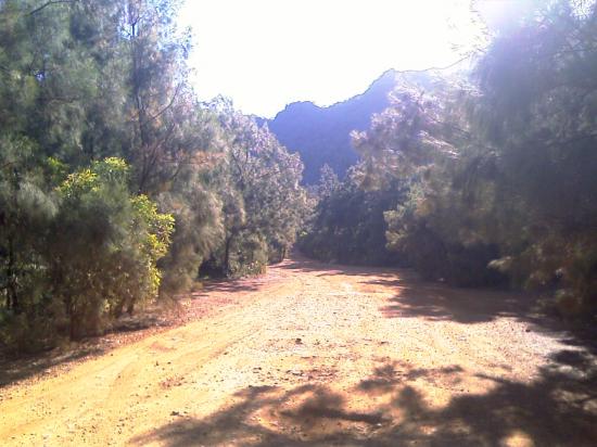 La balade  à Dumbéa rivière