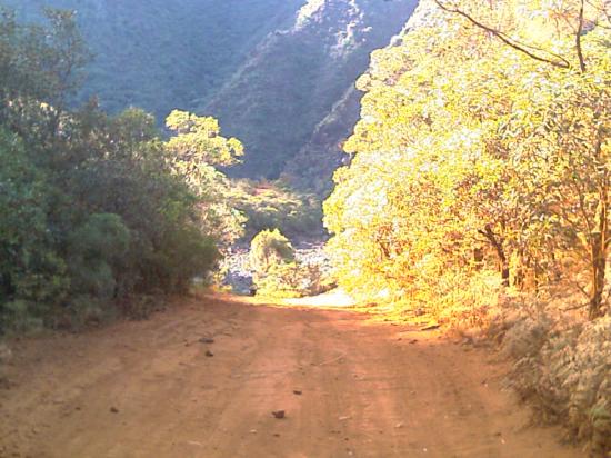 Le parc de La Dumbéa