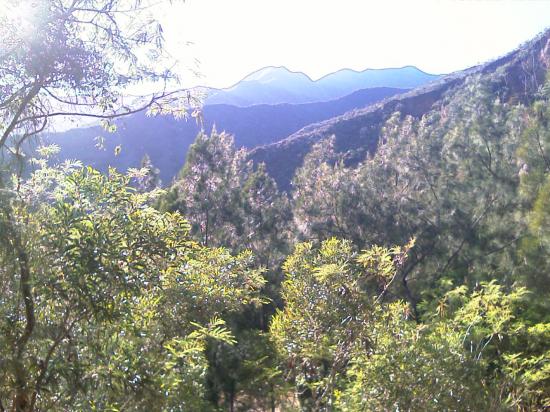 La balade  à Dumbéa rivière