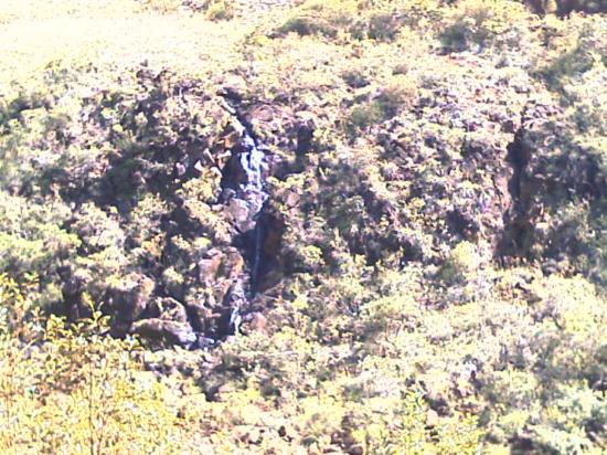 La balade  à Dumbéa Rivière