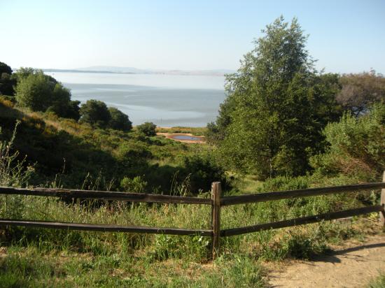 China Camp ParK