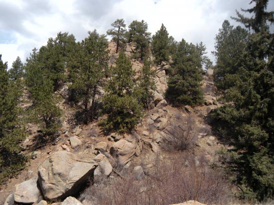 Colorado