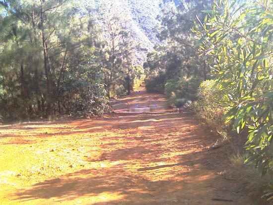 La balade  à Dumbéa rivière