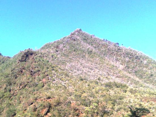 Le parc de La Dumbéa