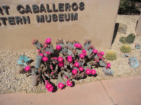 Wickenburg