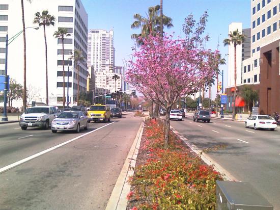 Long Beach