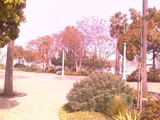 Long Beach
