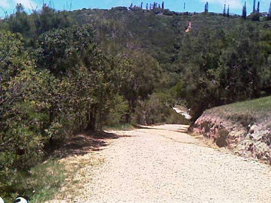 La descente