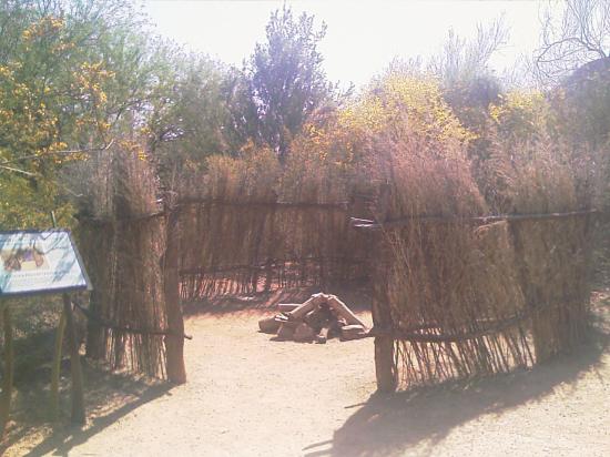 Habitat Apache