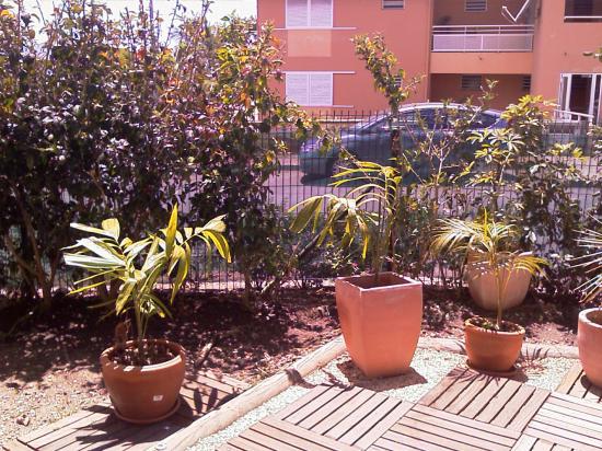 Le jardin