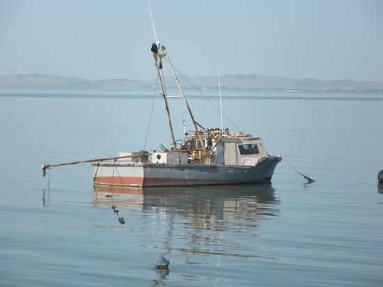 China Camp ParK