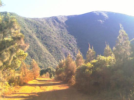 Le parc de La Dumbéa