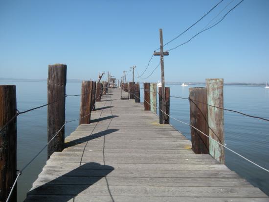 China Camp ParK