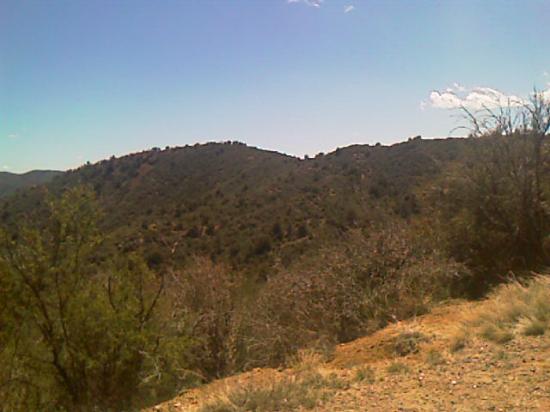Arizona