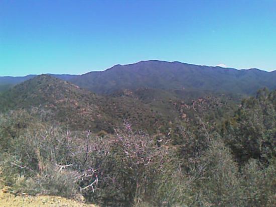 Arizona