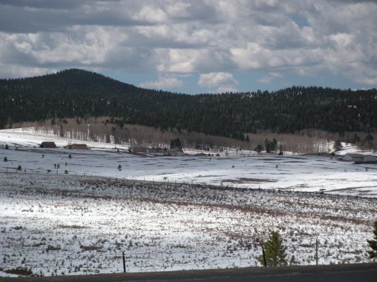 Colorado