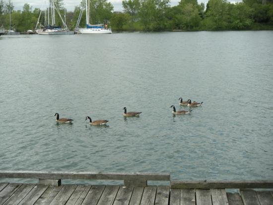 Lake Ontario