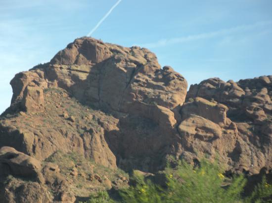 Camelback