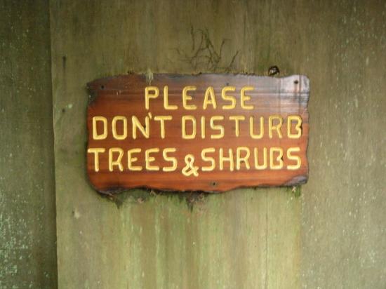 Red Woods