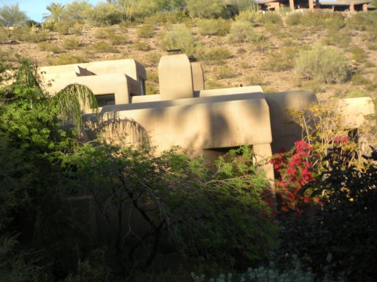 Camelback