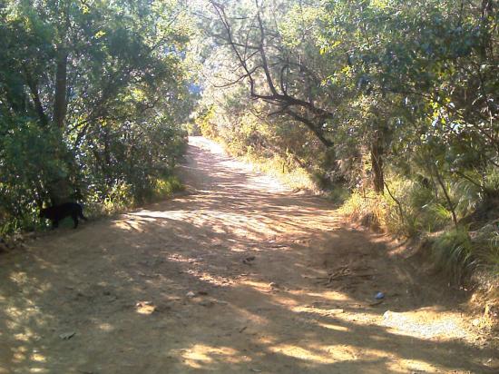 La balade  à Dumbéa Rivière