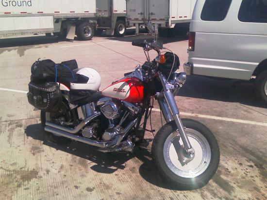 Harley !
