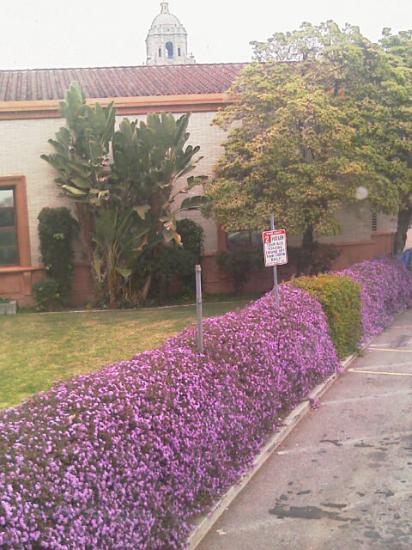 Beverly Hills (la poste)