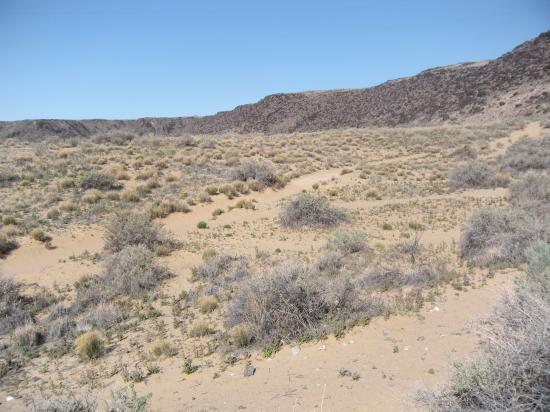 Albuquerque