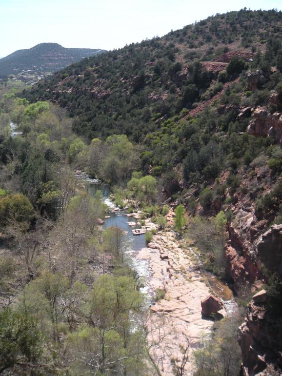 Oak Trail