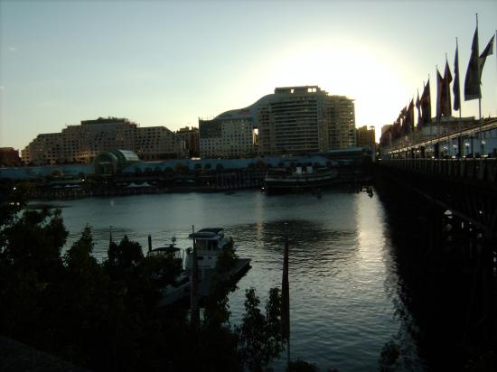 Darling harbour at night