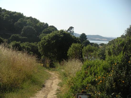 China Camp ParK