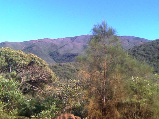 Le parc de La Dumbéa