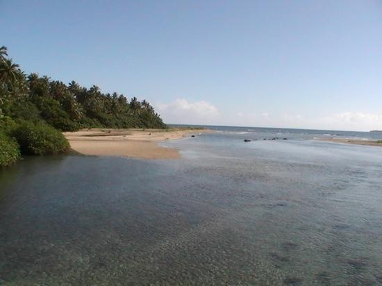 Promenade sur la Côte Est